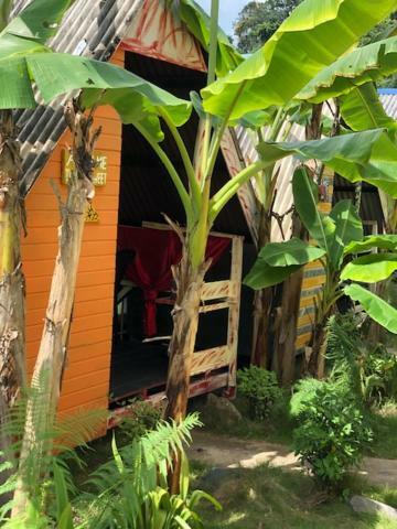 Beach Shack Chalet - Garden View Aframe Small Unit Kampong Juara Exterior foto